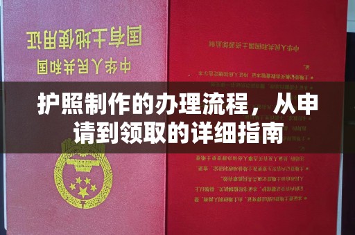 永年护照制作的办理流程，从申请到领取的详细指南