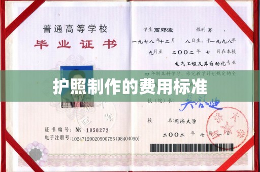 永年护照制作的费用标准