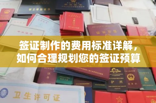 永年签证制作的费用标准详解，如何合理规划您的签证预算